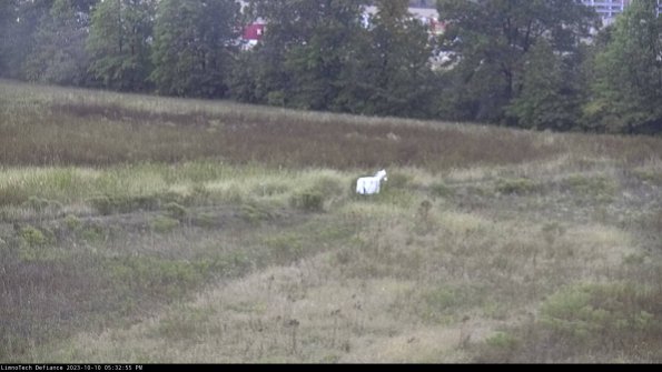 Cell 2 to 3_23-10-10_17-32-56-09