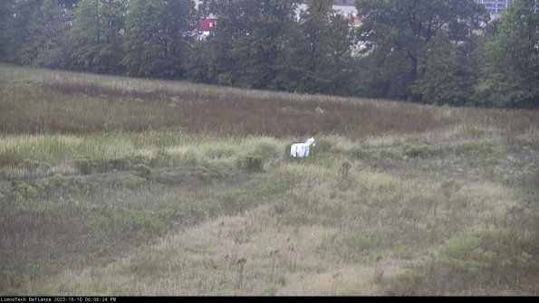 Cell 2 to 3_23-10-10_18-06-25-01