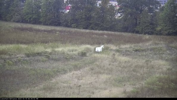 Cell 2 to 3_23-10-10_18-39-53-19