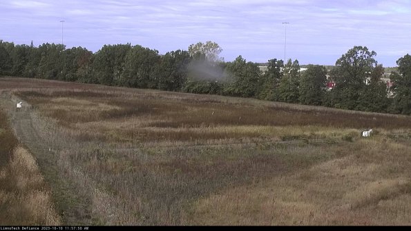 Cell 2_23-10-10_11-57-51-02