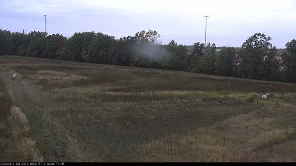 Cell 2_23-10-10_18-06-12-03