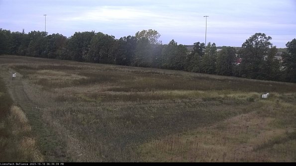 Cell 2_23-10-10_18-39-40-04