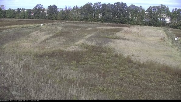 Cell 3_23-10-10_11-58-18-21