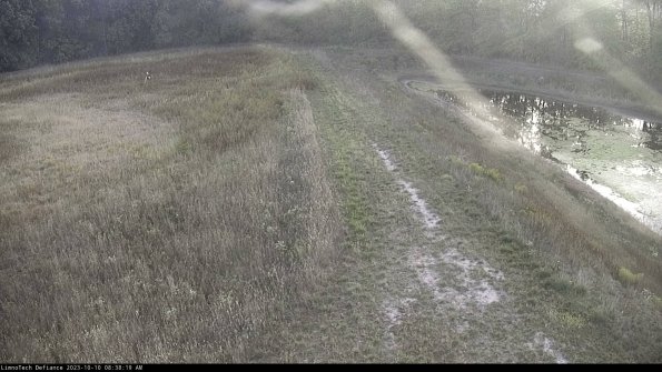 Cell 4 to Basin_23-10-10_08-38-20-00