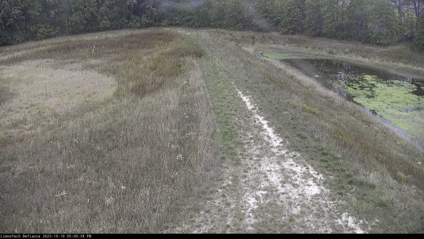 Cell 4 to Basin_23-10-10_17-00-39-01