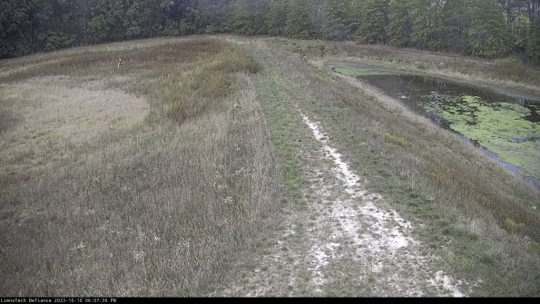 Cell 4 to Basin_23-10-10_18-07-36-98