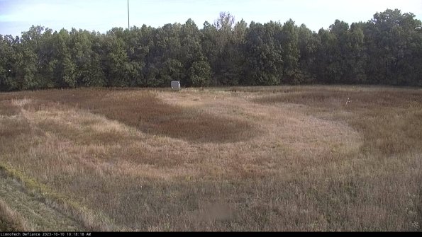 Cell 4_23-10-10_10-18-18-99