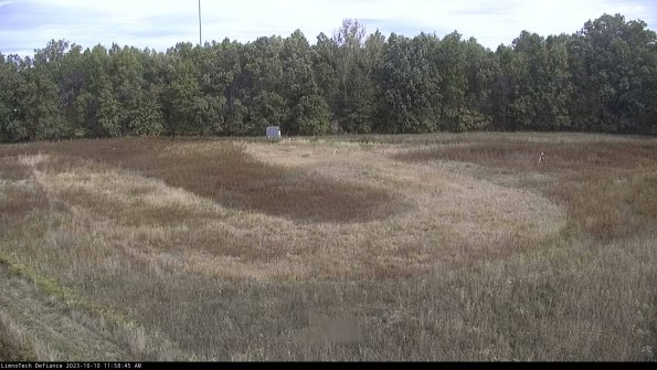 Cell 4_23-10-10_11-58-46-01