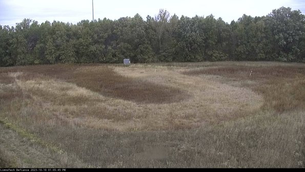 Cell 4_23-10-10_13-05-45-99