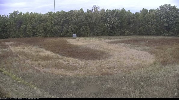 Cell 4_23-10-10_17-00-08-98