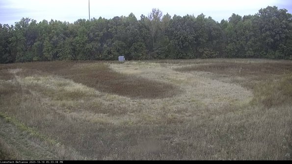 Cell 4_23-10-10_17-33-39-00