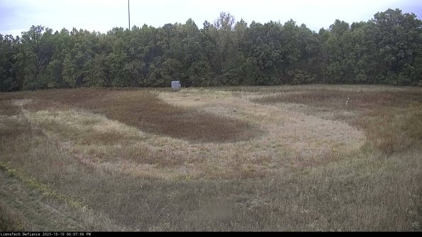 Cell 4_23-10-10_18-07-06-98