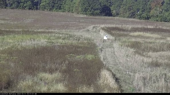 Cell 1 to 2_23-10-11_10-17-31-96