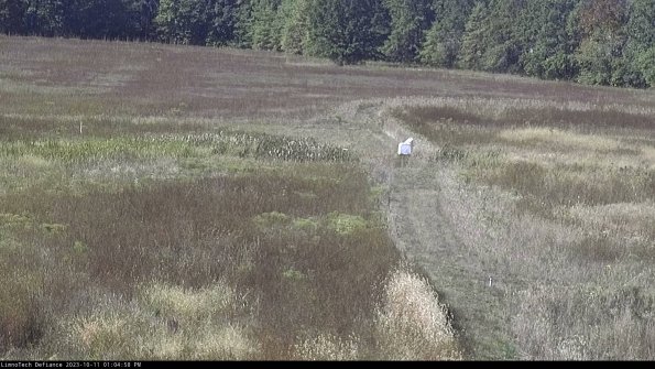 Cell 1 to 2_23-10-11_13-04-59-00