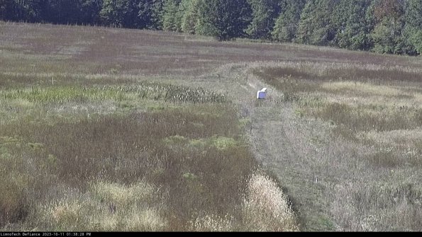 Cell 1 to 2_23-10-11_13-38-28-98