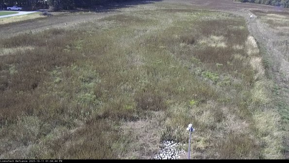 Cell 1_23-10-11_13-04-44-98