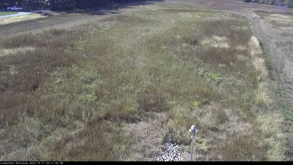 Cell 1_23-10-11_14-11-42-96