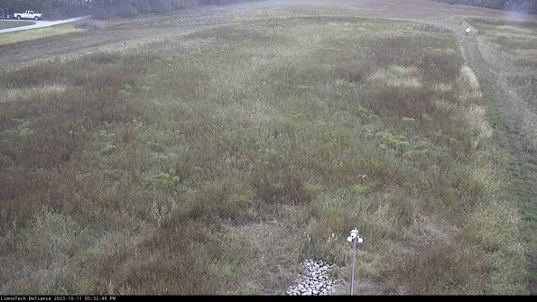 Cell 1_23-10-11_17-32-40-98