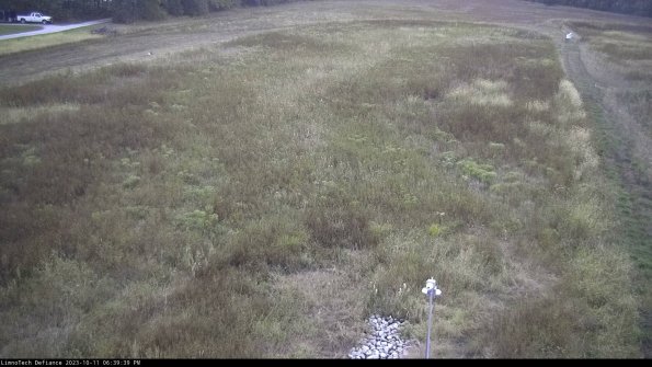 Cell 1_23-10-11_18-39-39-98