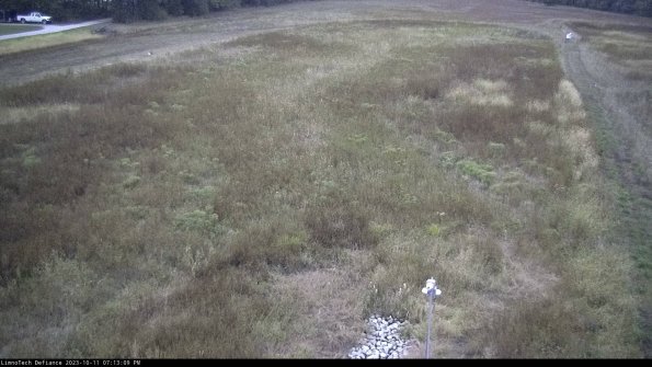 Cell 1_23-10-11_19-13-09-97