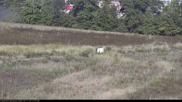 Cell 2 to 3_23-10-11_10-17-58-19