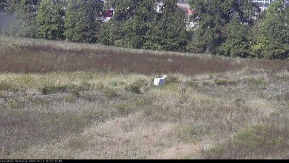 Cell 2 to 3_23-10-11_12-31-55-13