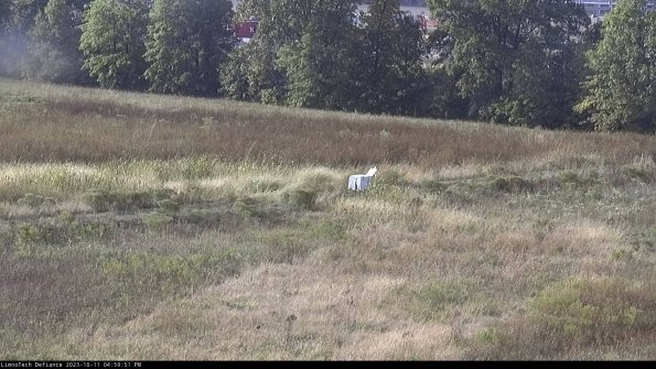 Cell 2 to 3_23-10-11_16-59-52-06