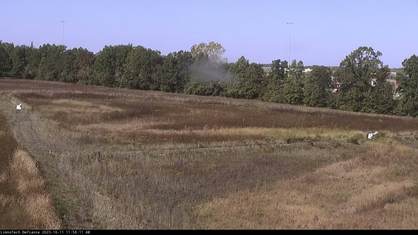 Cell 2_23-10-11_11-58-12-00