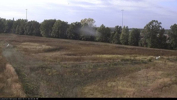 Cell 2_23-10-11_16-59-39-05