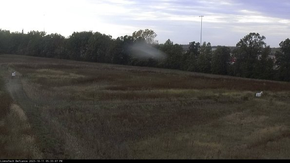 Cell 2_23-10-11_17-33-08-00