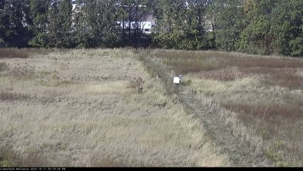 Cell 3 to 4_23-10-11_15-19-51-00