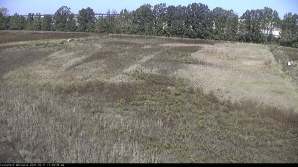 Cell 3_23-10-11_11-58-39-99