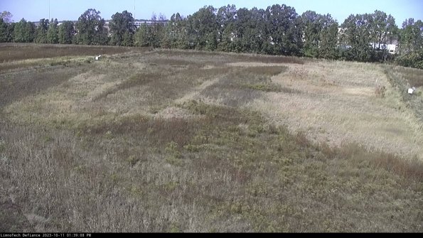 Cell 3_23-10-11_13-39-09-22