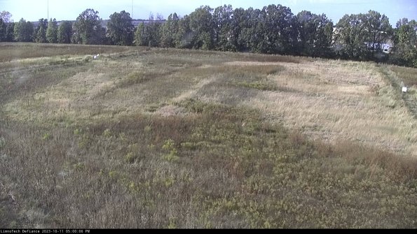 Cell 3_23-10-11_17-00-06-98