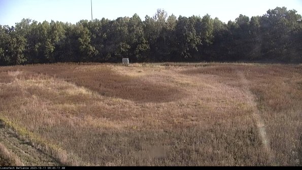 Cell 4_23-10-11_09-45-11-98