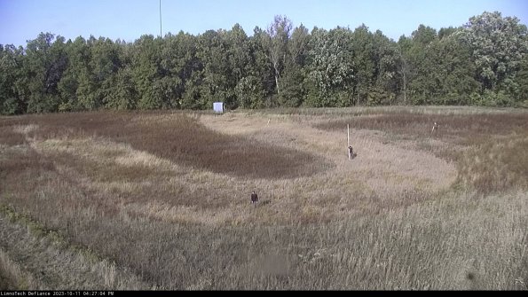 Cell 4_23-10-11_16-27-04-99