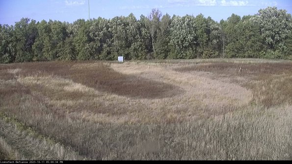 Cell 4_23-10-11_17-00-34-97