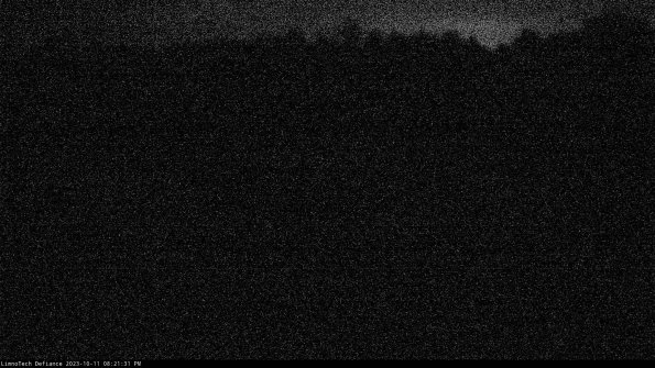 Cell 4_23-10-11_20-21-31-99