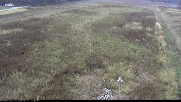 Cell 1_23-10-12_11-24-53-96