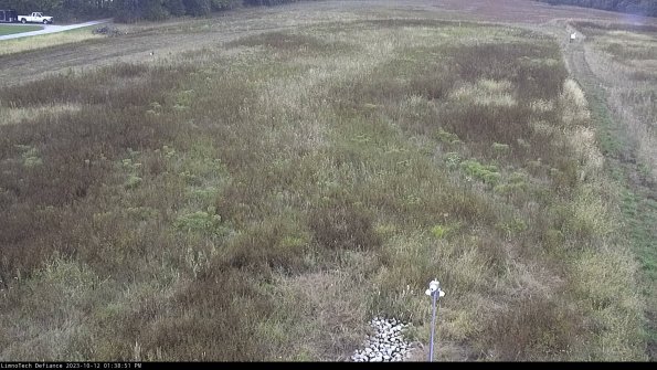 Cell 1_23-10-12_13-38-52-00