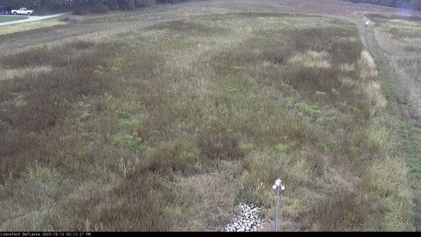 Cell 1_23-10-12_14-12-21-98