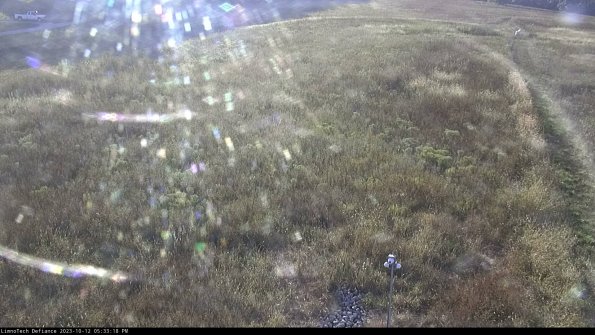 Cell 1_23-10-12_17-33-19-00