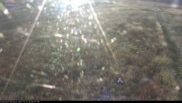 Cell 1_23-10-12_18-06-47-99