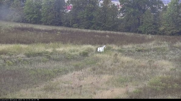 Cell 2 to 3_23-10-12_13-39-32-14