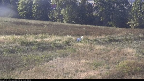 Cell 2 to 3_23-10-12_17-33-59-01