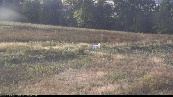 Cell 2 to 3_23-10-12_18-07-28-13