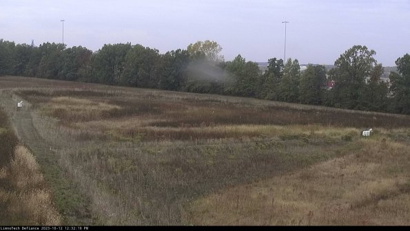 Cell 2_23-10-12_12-32-19-99