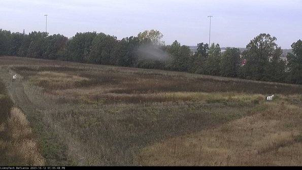 Cell 2_23-10-12_13-05-49-01