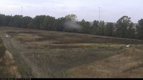 Cell 2_23-10-12_13-39-19-02