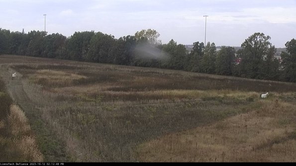 Cell 2_23-10-12_14-12-49-01